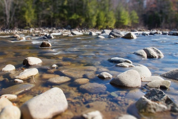 Lessons from Tubing on the New River